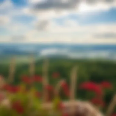 Scenic View of the Finger Lakes Surrounding Area Scenic view of Finger Lakes surrounding area