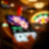 Overview of the WSOP VIP App interface