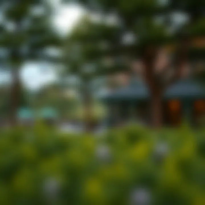 Scenic Outdoor View of Two Trees Hotel Outdoor view of Two Trees Hotel